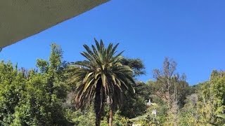 XXXTENTACION - Palm Trees Instrumental