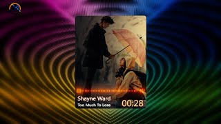 Too Much To Lose - Shayne Ward