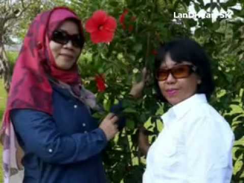 download lagu mp3 mp4 Jamal Mirdad Baju Merah Jambu, download lagu Jamal Mirdad Baju Merah Jambu gratis, unduh video klip Jamal Mirdad Baju Merah Jambu