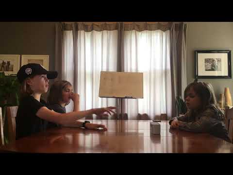 Sound and Vibrations 1 (1st Grade NGSS)