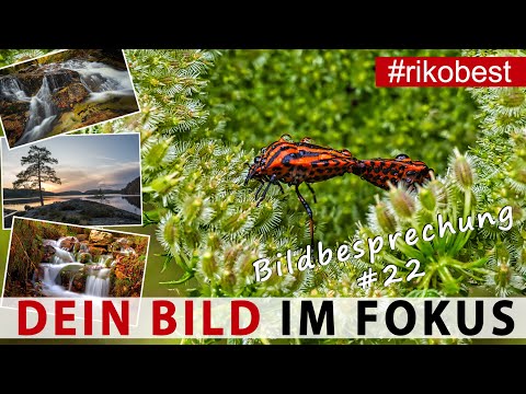 Dein Bild im Fokus #22  Fotografieren lernen durch Bildanalyse & Bildbesprechung - Fotokurs