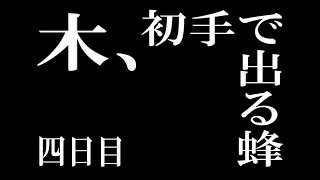 【あつ森】４日目 運命かのように出てくる蜂【全魚虫補完計画】【あつまれどうぶつの森】