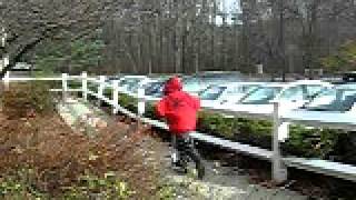 The prickly bush of DOOM