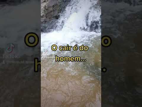 Receba alegria ... regozijo...