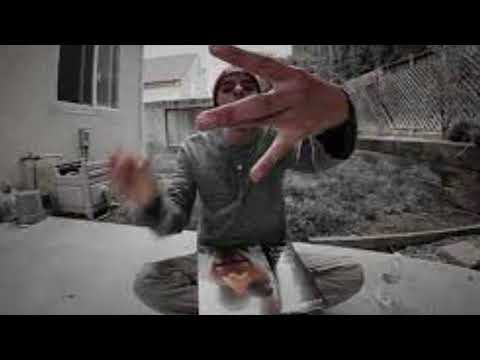 HideandSeekZoo - Lights Out