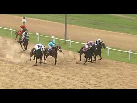 20/01/2018 – Hipodromo Melo – Carr 5 – APERTURA SINT MELO 2018