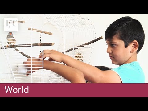 Germany gets tough on refugees