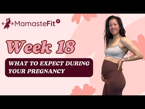 Week 18: What to Expect During Your Pregnancy + Gina's Pregnancy Journey!