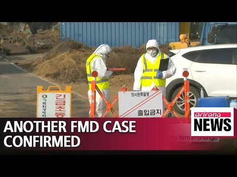 Third foot-and-mouth disease case confirmed at cow farm in Chungju