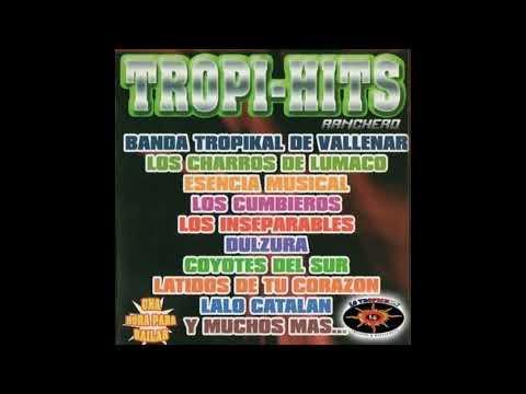 Varios Interpretes - Tropi Hits Ranchero (2012) CD Completo