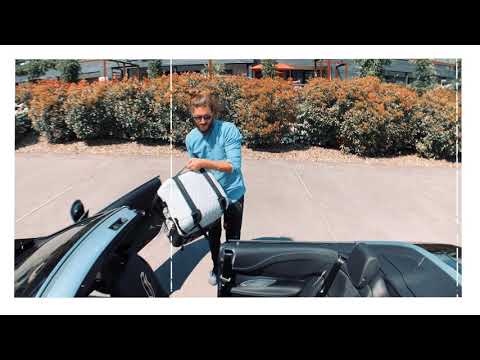 4pets caree dog crate in the car.