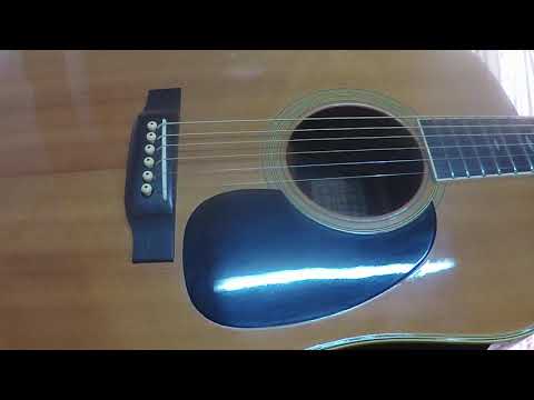 Tokai Cat's Eyes CE-500 D28 Replica endorsed by CF Martin | Reverb