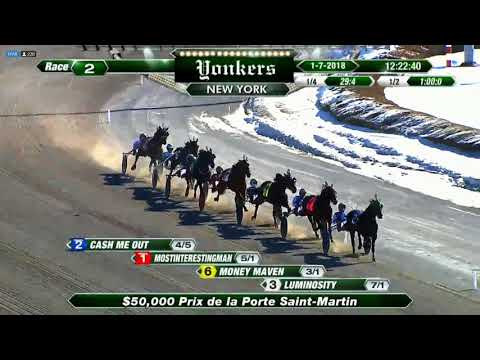 Consolidator 1/7/18 #TeamAllard #harnessracing #harnessracingfz