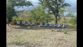 preview picture of video 'Apicoltura: il mio terzo apiario (settembre 2013)'