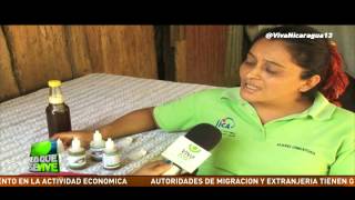 Miel de abejas meliponas, una opción para la salud