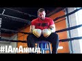 I Am Animal | Chris Tuttle