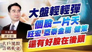 大盤輕輕彈 個股一片天 旺宏 亞泰金屬 健策 還有好股在後頭 (圖)