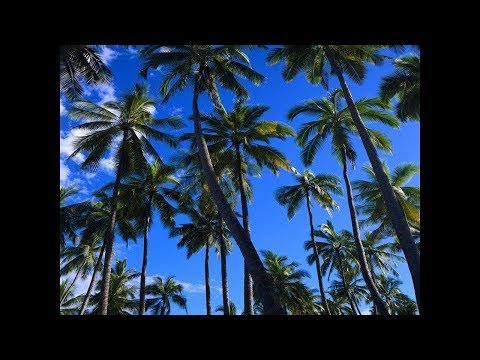 DJ Kenside  - Ton sourire  Feat. Tahi Des WateWakere  (ZOUK LOVE)