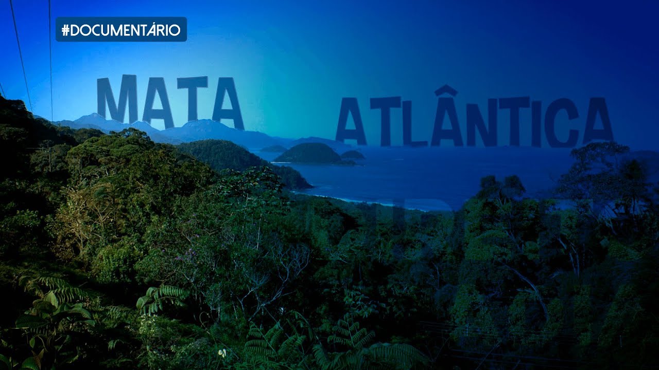 Arquivo A: Mata Atlântica