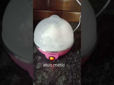 ELECTRIC COOKING POT