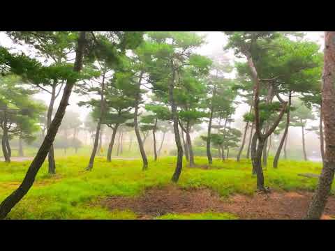 Dj Romeo - Vip Mix 2 (2005) Track 13. C-Mos - 2 Million Ways (J & S Mix)