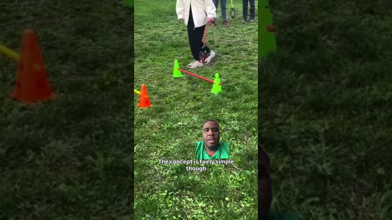 I guess it’s cheaper than a real dog