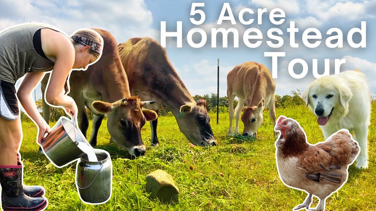 What We Grow & Raise For YEAR-ROUND Food - Family of 6!