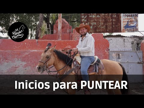 Como enseñar a PUNTEAR a mi caballo - Ejercicios