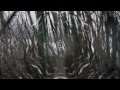 Mystique - Daniel Kobialka