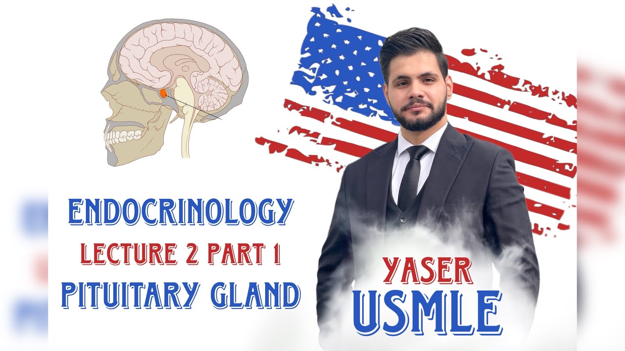 Endocrine Lecture 2-a (Pituitary gland) USMLE Step1 , Dr Yaser