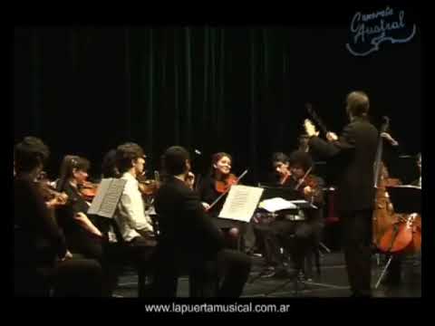 Camerata Austral - Danza Húngara Nº5 (J. Brahms)