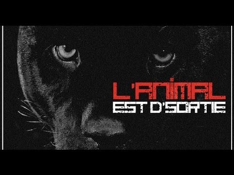 HitnKill :: Ramène moi un miroir que j'trouve mon adversaire!