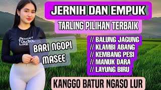 Download lagu TARLING CIREBONAN INDRAMAYU | TARLING FULL ALBUM | ORGAN TARLING JATAYU mp3