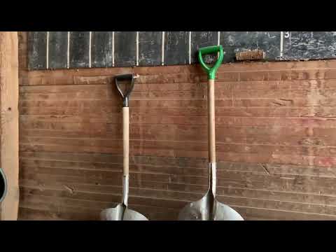 A look inside the historic elevator