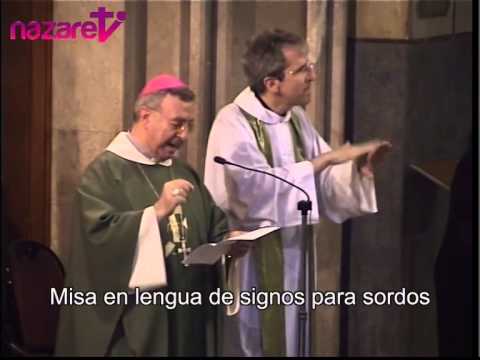 Evangelio y homilía: Domingo 27 de julio de 2014 (de nazaret.tv)