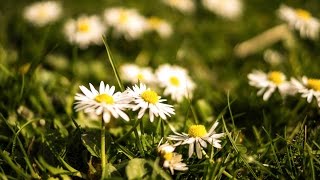 Funeral Services in Beloit WI Call (844) 311-3189