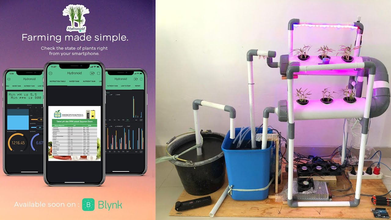IoT-Based Nutrition and Lighting Control to Grow Hydroponic Plants