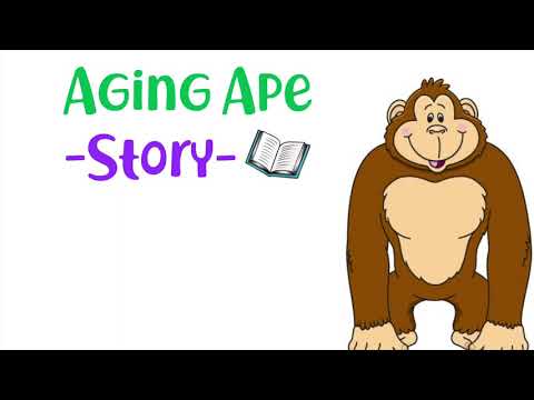 Aging Ape Story 🦧 Āā ABC’s for English Learners (A.C.E.)