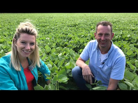 De Boer is Troef 25 september 2019 - Sojaboer