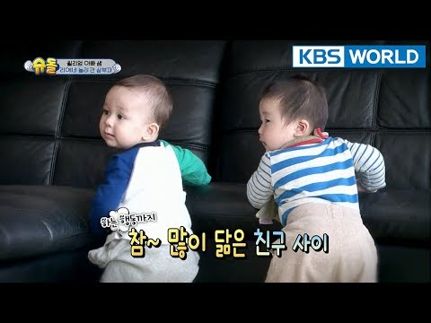 The Return of Superman | 슈퍼맨이 돌아왔다 - Ep.216 : Living, Loving, and Learning [ENG/IND/2018.03.18]