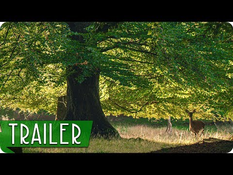 Das Geheime Leben Der Bäume (2020) Trailer