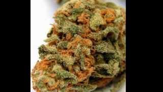 Cyhi The Prynce,ScHoolboy Q   Food Savers And ScissorsChopped And Ascrewed