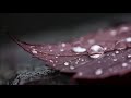 Michael Hoppé,  Martin Tillman & Tim Wheater -The Waiting