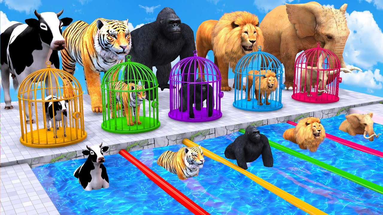 Animals Choose The Right Key With Cow Mammoth Elephant Gorilla Lion Tiger Wild Animals Matching Game