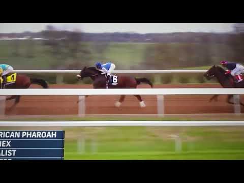 Breeders cup classic 2015-American Pharoah