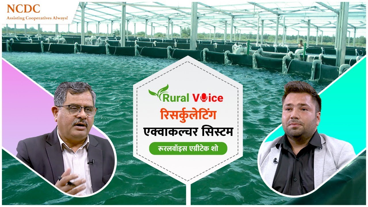 आरएएस तकनीक से कम जगह और  कम पानी में 10 गुना  तक मछली उत्पादन संभव