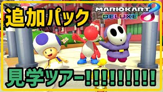 ＼今更／追加パックどうなってんねん見学ツアー！【マリオカート８DX】【実況】