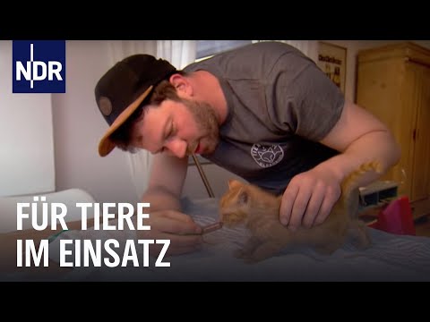 Großes Herz für schwierige Hunde | Die Nordreportage | NDR Doku