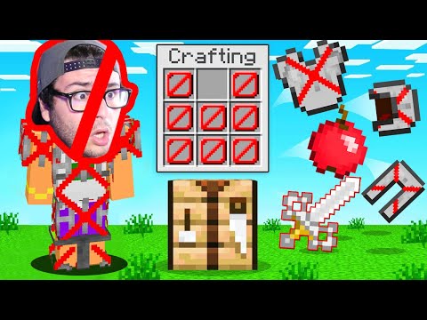 HO PROVATO L'ARMATURA DI BARRIERE SU MINECRAFT!