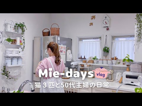 First family dinner & 3 cats | 3-day vlog with new tableware